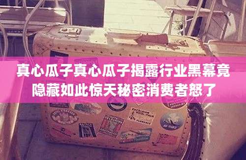 真心瓜子真心瓜子揭露行业黑幕竟隐藏如此惊天秘密消费者怒了