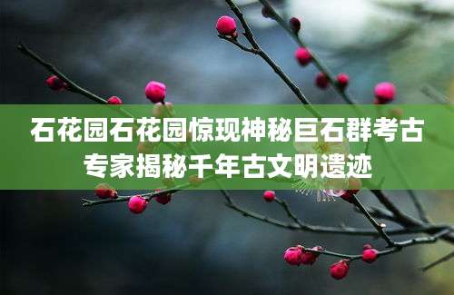 石花园石花园惊现神秘巨石群考古专家揭秘千年古文明遗迹