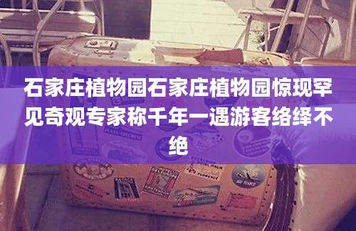 石家庄植物园石家庄植物园惊现罕见奇观专家称千年一遇游客络绎不绝
