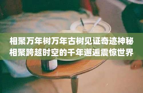 相聚万年树万年古树见证奇迹神秘相聚跨越时空的千年邂逅震惊世界
