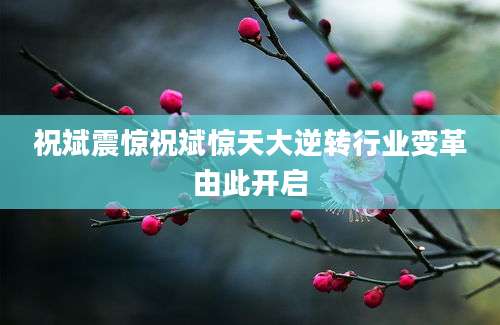 祝斌震惊祝斌惊天大逆转行业变革由此开启