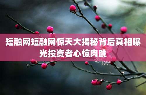 短融网短融网惊天大揭秘背后真相曝光投资者心惊肉跳