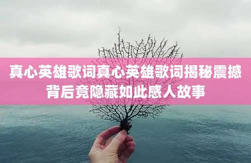 真心英雄歌词真心英雄歌词揭秘震撼背后竟隐藏如此感人故事