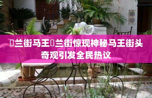 砵兰街马王砵兰街惊现神秘马王街头奇观引发全民热议