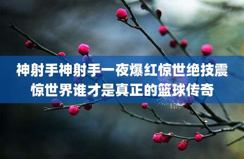 神射手神射手一夜爆红惊世绝技震惊世界谁才是真正的篮球传奇