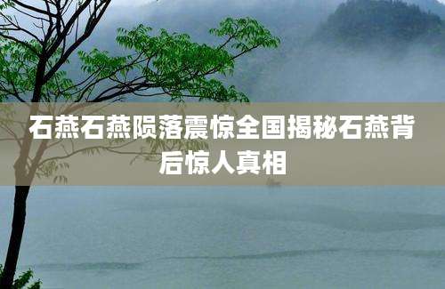 石燕石燕陨落震惊全国揭秘石燕背后惊人真相