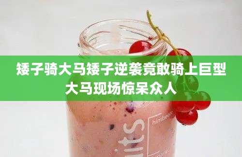 矮子骑大马矮子逆袭竟敢骑上巨型大马现场惊呆众人