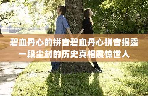 碧血丹心的拼音碧血丹心拼音揭露一段尘封的历史真相震惊世人