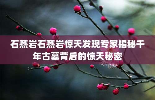 石燕岩石燕岩惊天发现专家揭秘千年古墓背后的惊天秘密