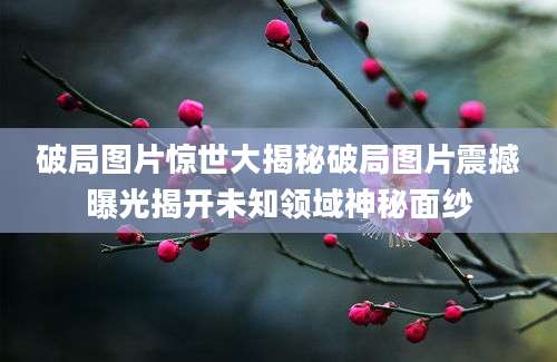 破局图片惊世大揭秘破局图片震撼曝光揭开未知领域神秘面纱