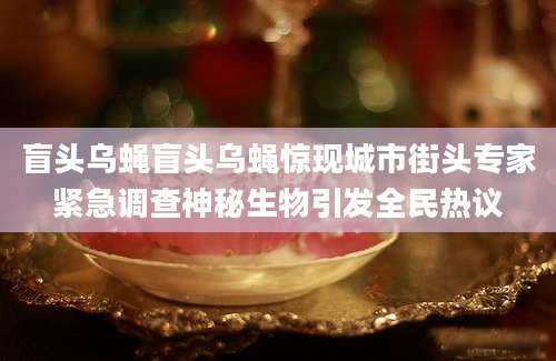 盲头乌蝇盲头乌蝇惊现城市街头专家紧急调查神秘生物引发全民热议