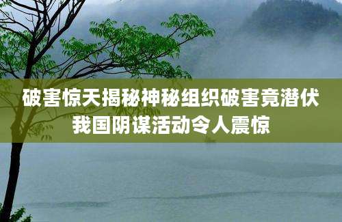 破害惊天揭秘神秘组织破害竟潜伏我国阴谋活动令人震惊