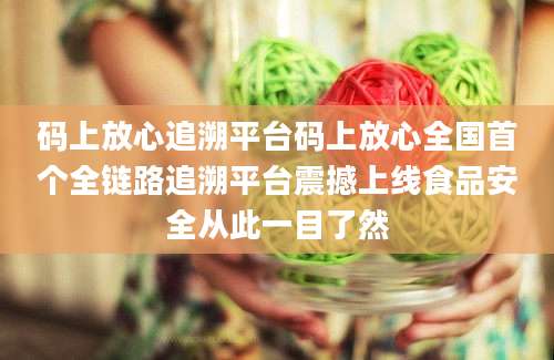 码上放心追溯平台码上放心全国首个全链路追溯平台震撼上线食品安全从此一目了然