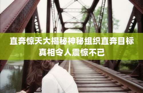 直奔惊天大揭秘神秘组织直奔目标真相令人震惊不已