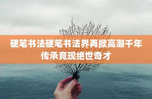 硬笔书法硬笔书法界再掀高潮千年传承竟现绝世奇才