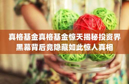 真格基金真格基金惊天揭秘投资界黑幕背后竟隐藏如此惊人真相