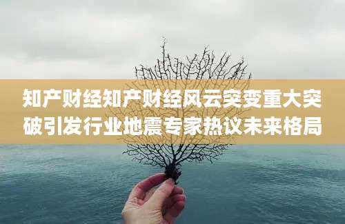 知产财经知产财经风云突变重大突破引发行业地震专家热议未来格局