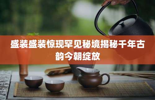 盛装盛装惊现罕见秘境揭秘千年古韵今朝绽放
