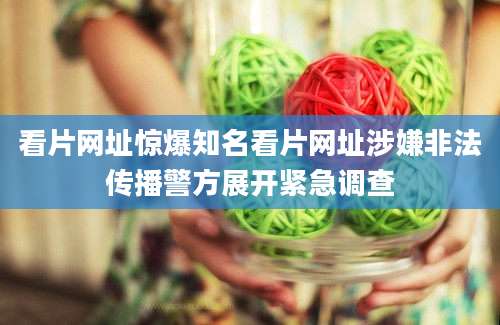 看片网址惊爆知名看片网址涉嫌非法传播警方展开紧急调查