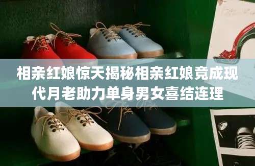 相亲红娘惊天揭秘相亲红娘竟成现代月老助力单身男女喜结连理
