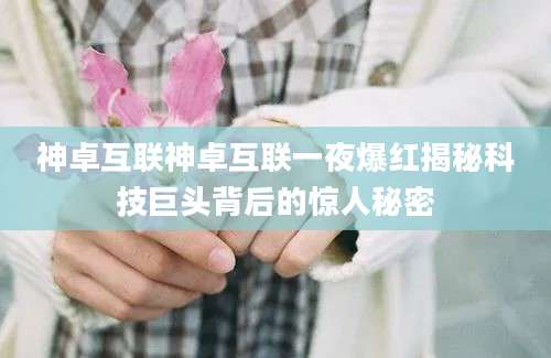 神卓互联神卓互联一夜爆红揭秘科技巨头背后的惊人秘密