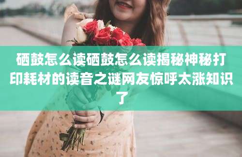 硒鼓怎么读硒鼓怎么读揭秘神秘打印耗材的读音之谜网友惊呼太涨知识了