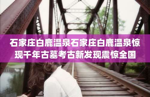 石家庄白鹿温泉石家庄白鹿温泉惊现千年古墓考古新发现震惊全国