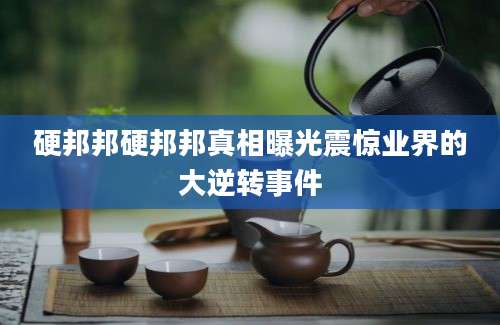 硬邦邦硬邦邦真相曝光震惊业界的大逆转事件