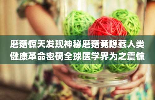 磨菇惊天发现神秘磨菇竟隐藏人类健康革命密码全球医学界为之震惊