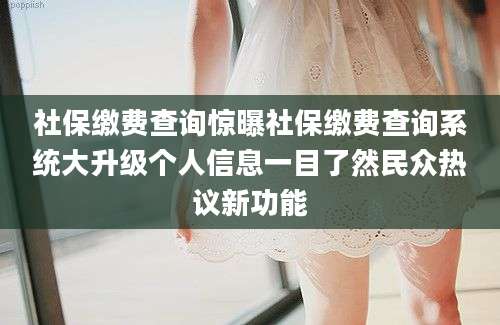 社保缴费查询惊曝社保缴费查询系统大升级个人信息一目了然民众热议新功能
