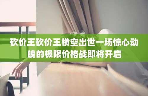 砍价王砍价王横空出世一场惊心动魄的极限价格战即将开启