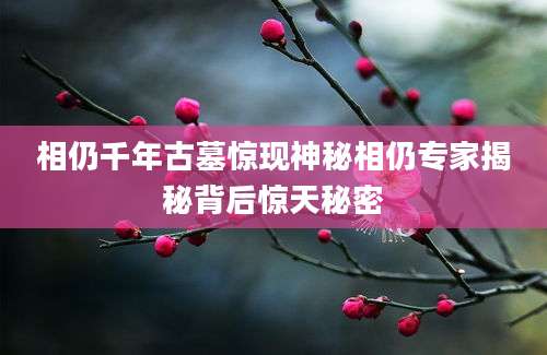 相仍千年古墓惊现神秘相仍专家揭秘背后惊天秘密