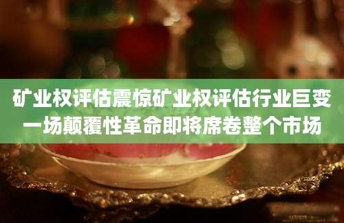 矿业权评估震惊矿业权评估行业巨变一场颠覆性革命即将席卷整个市场