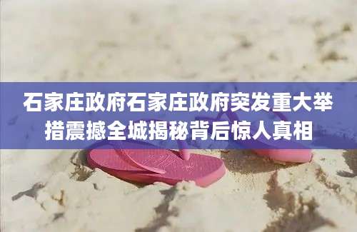石家庄政府石家庄政府突发重大举措震撼全城揭秘背后惊人真相