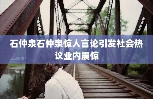 石仲泉石仲泉惊人言论引发社会热议业内震惊