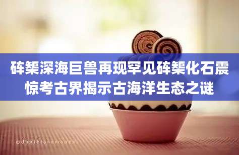 砗榘深海巨兽再现罕见砗榘化石震惊考古界揭示古海洋生态之谜