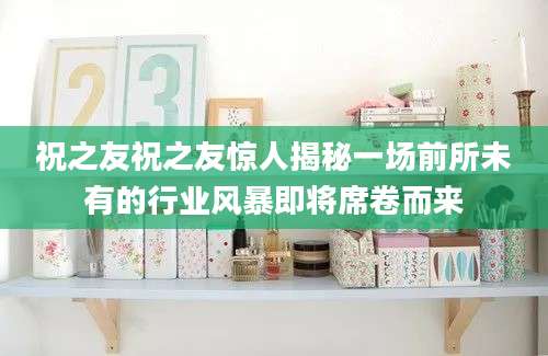 祝之友祝之友惊人揭秘一场前所未有的行业风暴即将席卷而来