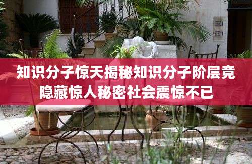 知识分子惊天揭秘知识分子阶层竟隐藏惊人秘密社会震惊不已