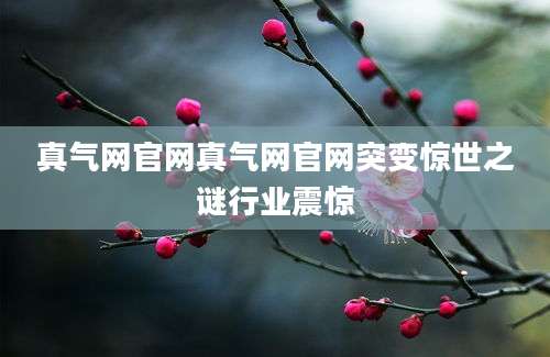 真气网官网真气网官网突变惊世之谜行业震惊