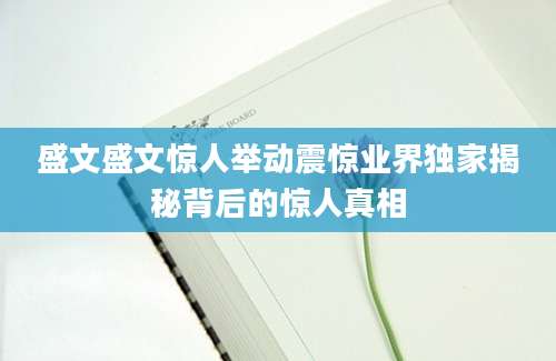 盛文盛文惊人举动震惊业界独家揭秘背后的惊人真相