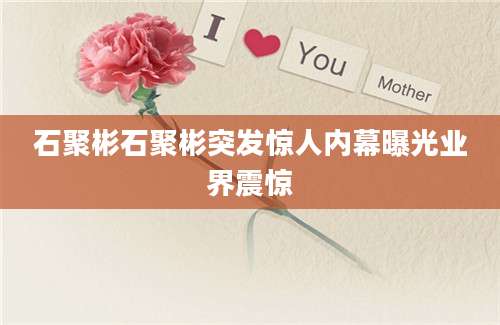 石聚彬石聚彬突发惊人内幕曝光业界震惊