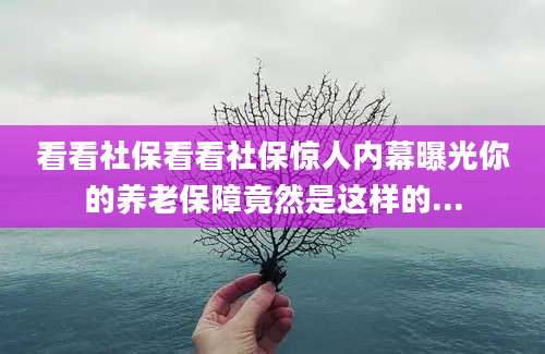 看看社保看看社保惊人内幕曝光你的养老保障竟然是这样的...