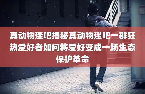 真动物迷吧揭秘真动物迷吧一群狂热爱好者如何将爱好变成一场生态保护革命