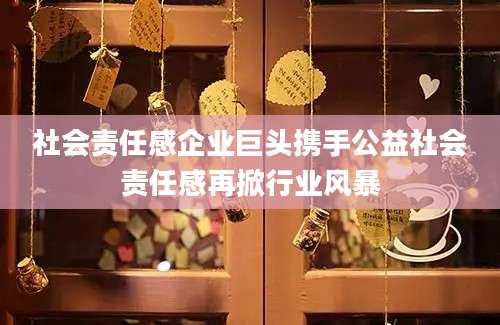 社会责任感企业巨头携手公益社会责任感再掀行业风暴