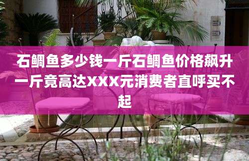石鲷鱼多少钱一斤石鲷鱼价格飙升一斤竟高达XXX元消费者直呼买不起