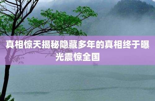 真相惊天揭秘隐藏多年的真相终于曝光震惊全国