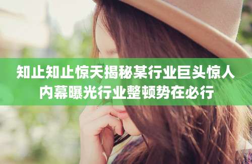 知止知止惊天揭秘某行业巨头惊人内幕曝光行业整顿势在必行