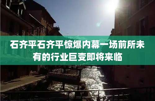 石齐平石齐平惊爆内幕一场前所未有的行业巨变即将来临