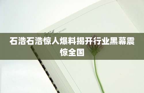石浩石浩惊人爆料揭开行业黑幕震惊全国