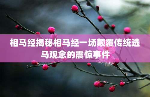 相马经揭秘相马经一场颠覆传统选马观念的震惊事件